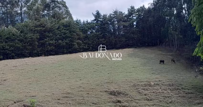 Terreno em camanducaia mg 6.000mts r$ 395mil agua mina
