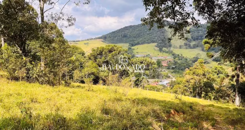 Terreno em toledo mg a venda para chacara 8.000m² r$ 250mil