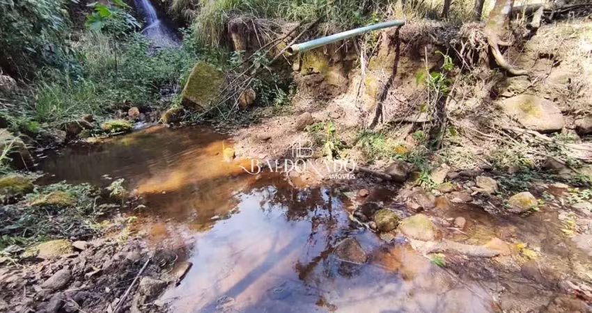 Terreno rural em toledo mg à venda 26.000 m  cachoeira riacho nascente