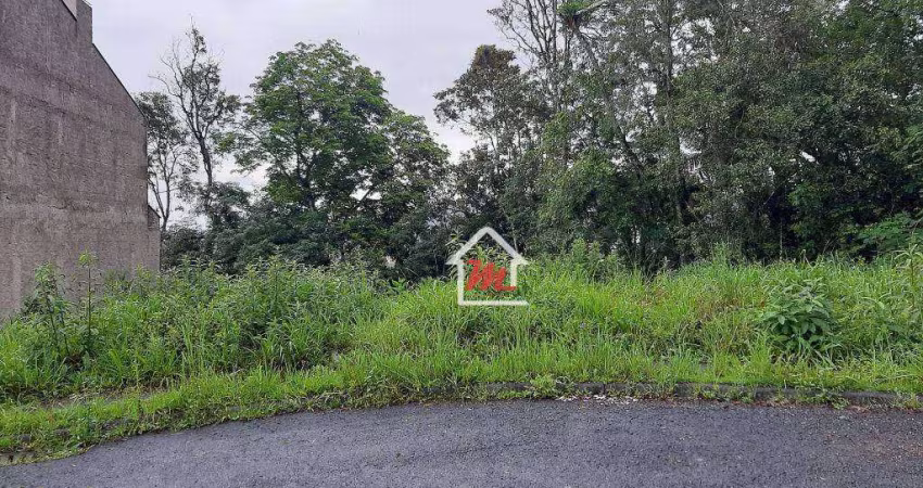 Terreno à venda, 464 m² por R$ 239.000,00 - Água Verde - Blumenau/SC