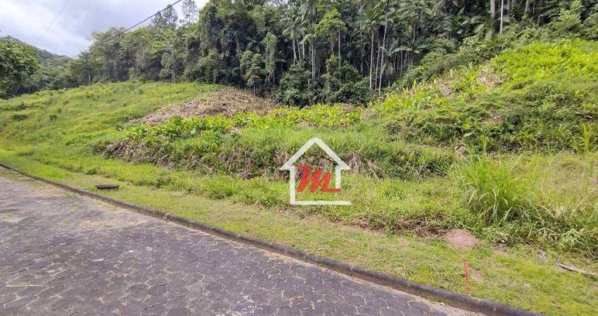 Terreno à venda, 5600 m² por R$ 869.000,00 - Velha - Blumenau/SC