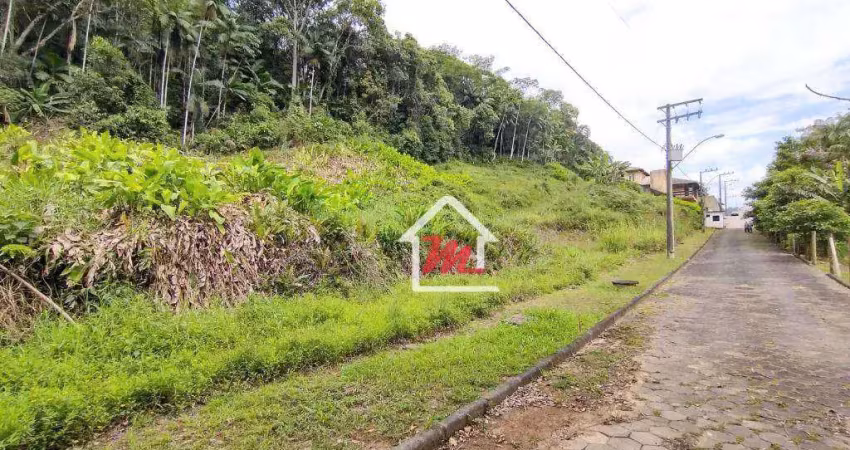 Terreno à venda, 5600 m² por r$ 1.000.000,00 - velha - blumenau/sc