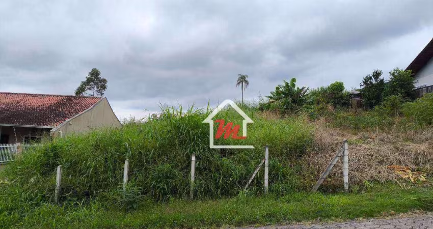 Terrenos com área total de 386,67 m² EM ZR1