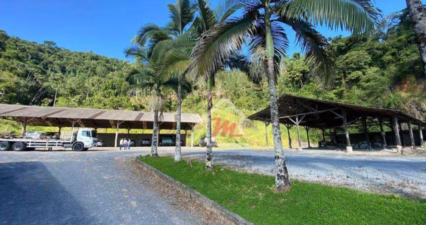 Galpão para alugar, 1100 m² por R$ 8.000/mês - Velha Central - Blumenau/SC