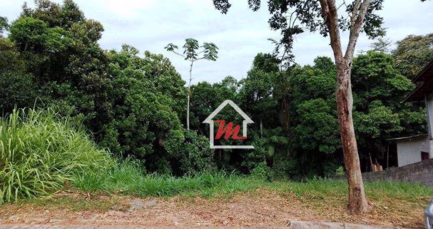 Terreno à venda, 361 m² por R$ 158.000,00 - Ribeirão das Pedras - Indaial/SC