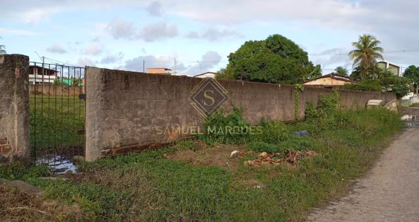 Terreno em Tiuma  -  São Lourenço da Mata