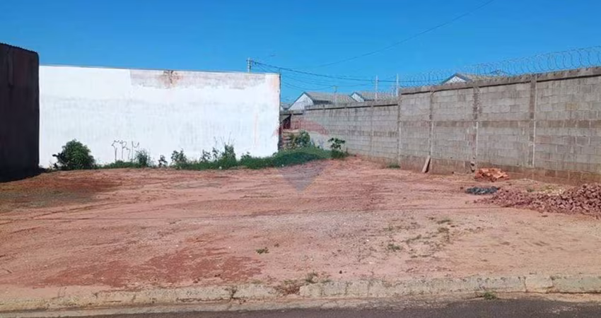 Terreno em Vila Graciosa - Oportunidade Única!