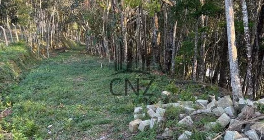 Terreno à venda em Brusque-SC, bairro Primeiro de Maio, com 12.292,00 m² de área disponível!
