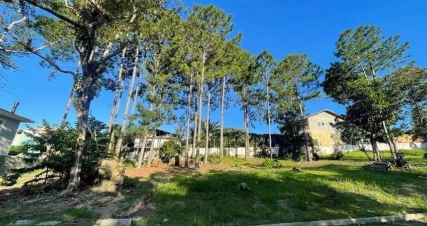 Terreno à venda na Rua Intendente Antônio Damasco, 2430, Ratones, Florianópolis