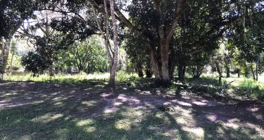 Terreno em condomínio fechado à venda na Rua Intendente Antônio Damasco, 4687, Ratones, Florianópolis