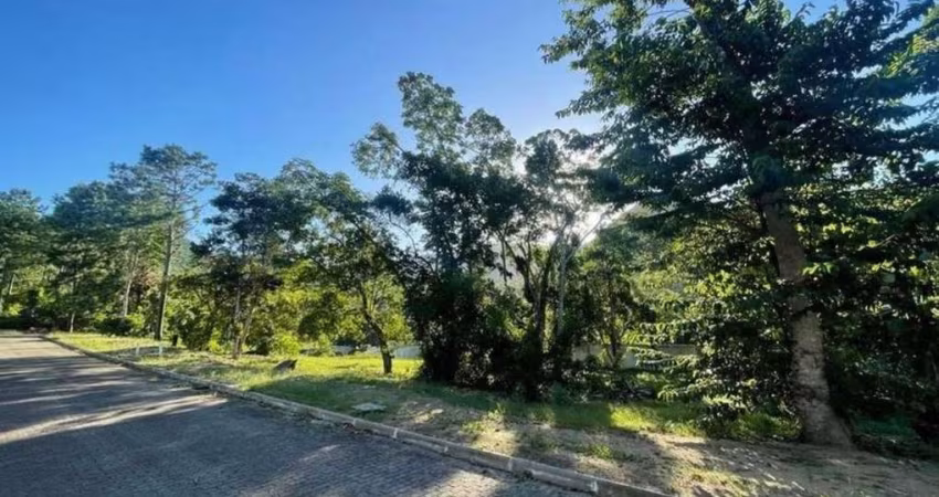 Terreno à venda na Rua Intendente Antônio Damasco, 2430, Ratones, Florianópolis