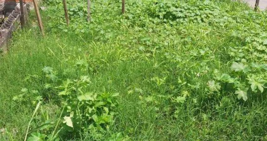 Terreno à venda, 215 m² por R$ 290.000,00 - Parque das Américas - Mauá/SP