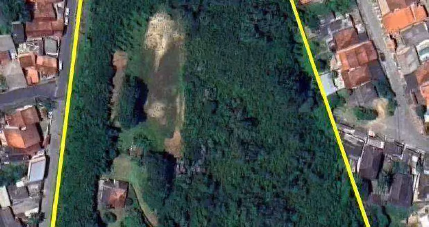 Terreno à venda, 26400 m² - quarta divisão - ribeirão pires/sp
