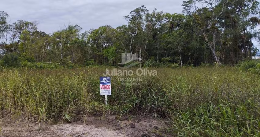 Lote/Terreno à Venda, Sai Mirim - Itapoá