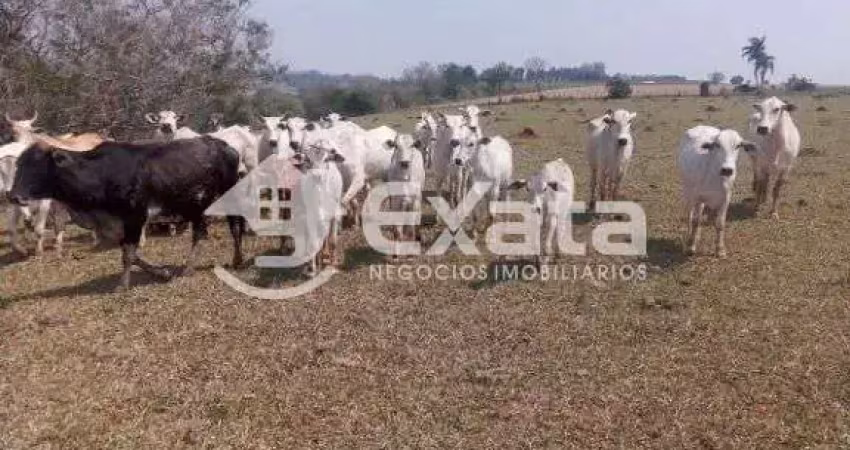 Sitio para venda em Itapetininga