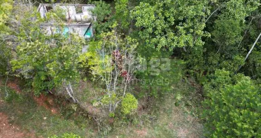 Chácara / sítio à venda no Moura, Canelinha 