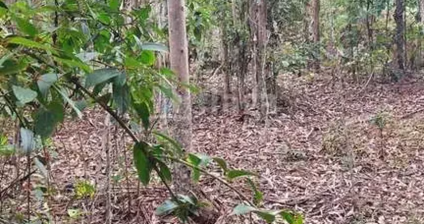 Terreno rural para sítio/chácara à venda em são joão batista/sc