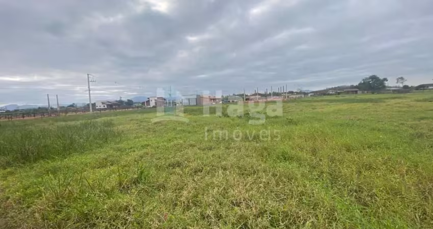 Fazenda à venda em Papagaios, Canelinha 