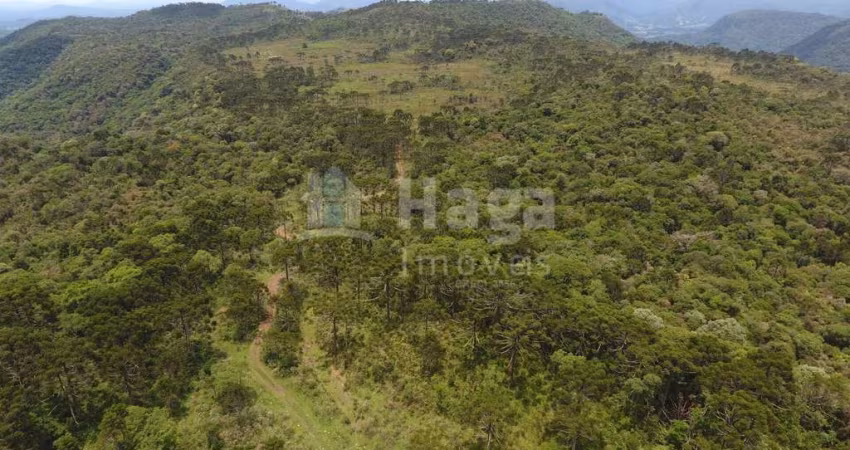 Terreno para sítio no Interior de Rio Rufino/SC