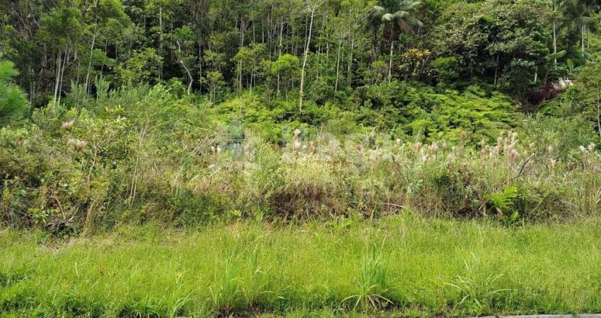 Terreno à venda no bairro Nova Brasília em Brusque/SC