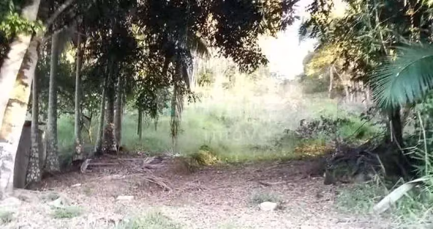 Chácara à venda no bairro imigrantes em guabiruba/sc