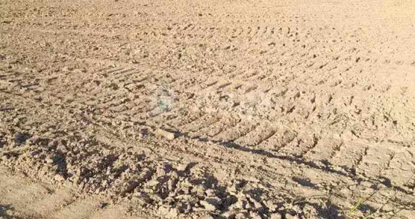 Terreno à venda na Galera, Canelinha 