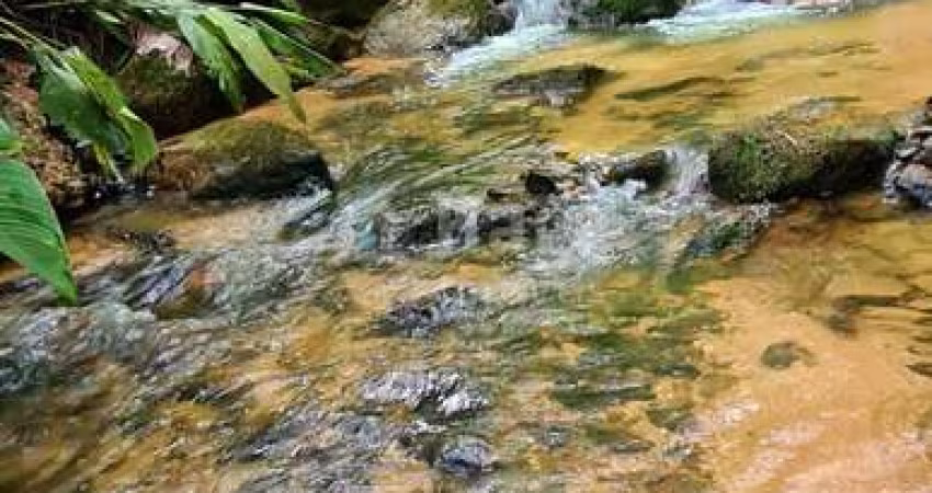 Sítio à venda em Nova Trento/SC