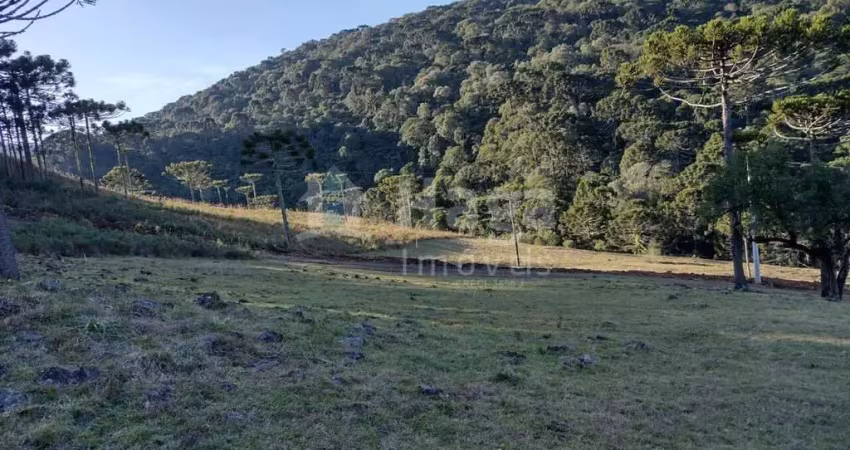 Terreno para sítio á venda em bom jardim da serra/sc