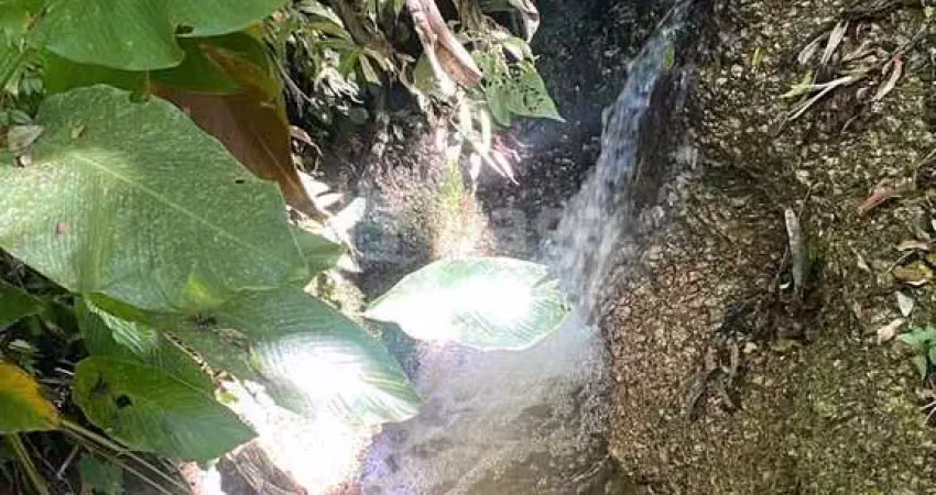 Terreno à venda no Tomaz Coelho, Brusque 