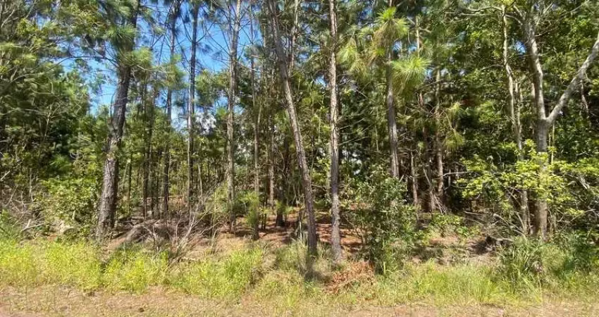 Terreno à venda no Serramar, Osório 