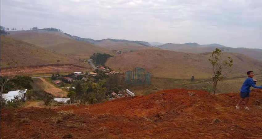 Terreno à venda, 625 m² por R$ 60.000,00 - Grama - Juiz de Fora/MG