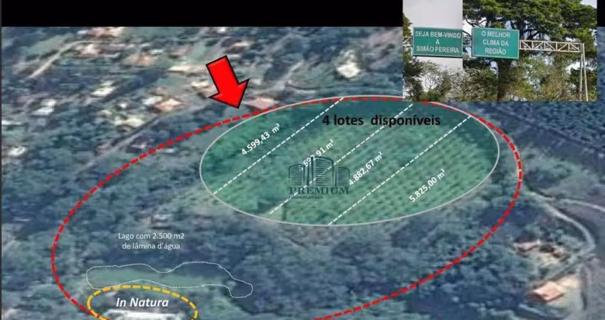 Terreno à venda, 4600 m² por r$ 505.000,00 - miragem ii - simão pereira/mg