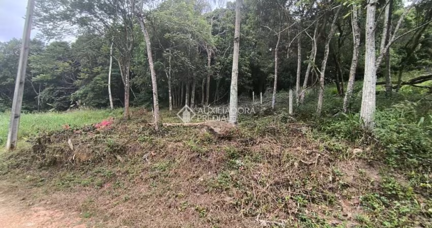 Terreno à venda na Eliana da Luz Maestri, 1, Cachoeira do Bom Jesus, Florianópolis