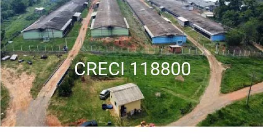 Chácara/Sítio para Venda Fazenda Velha Cesário Lange