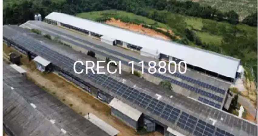 Chácara/sítio para venda fazenda velha cesário lange