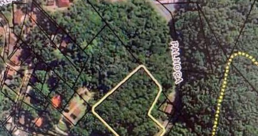 Terreno à venda, 9719 m² por R$ 750.000,00 - Bom Retiro - Blumenau/SC