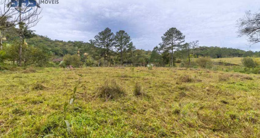 Terreno à venda, 63370 m² por r$ 3.500.000,00 - fortaleza alta - blumenau/sc