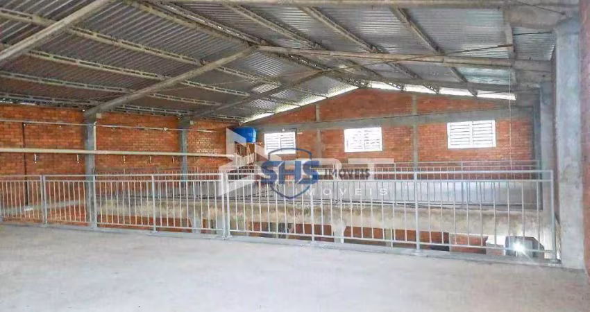 Galpão para alugar, 750 m² por r$ 15.000,02/mês - boa vista - blumenau/sc