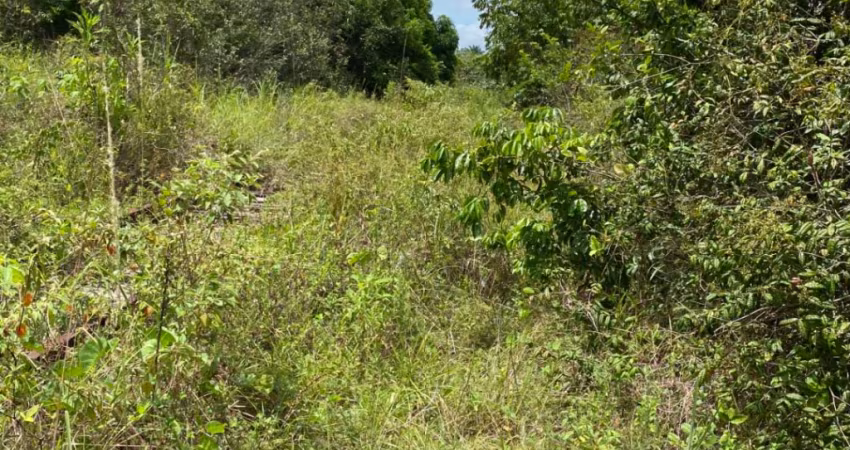 Vendo Fazenda 172ha em Araças da Prata.