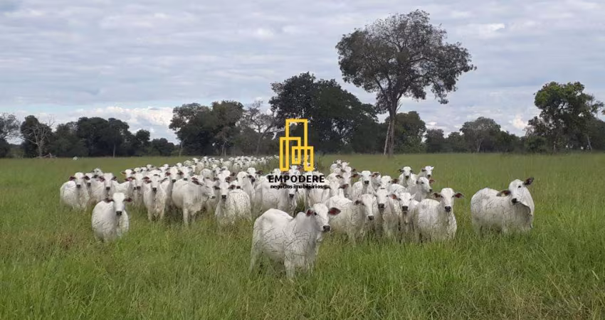 Fazenda para Venda em Araguaiana, Fazenda