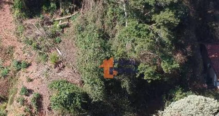 Terreno à venda, 1536 m² por R$ 320.000,00 - Quinta da Barra - Teresópolis/RJ