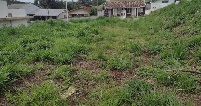 Terreno para Venda em Campina Grande do Sul, NOVO DAHER