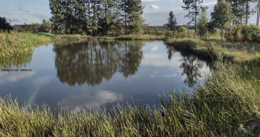 Chácara para Venda em Quatro Barras, Granja Das Acácias