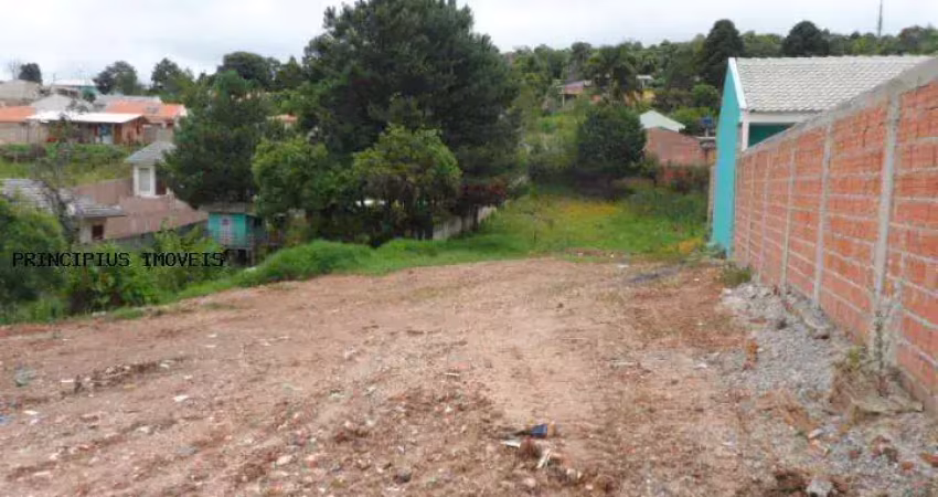 Terreno para Venda em Colombo, VILA FLORESTAL GRAJAU