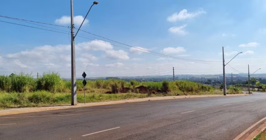 Terreno à venda na Custodio Venancio Ribeiro, --, Gleba Ribeirão Limeiro, Londrina
