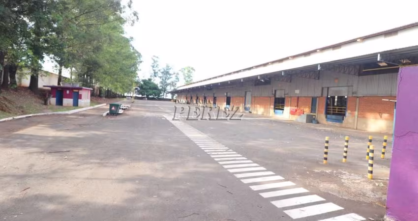 Barracão / Galpão / Depósito para alugar na Dalmi de Carvalho Pereira, --, Estância Dlaville, Londrina