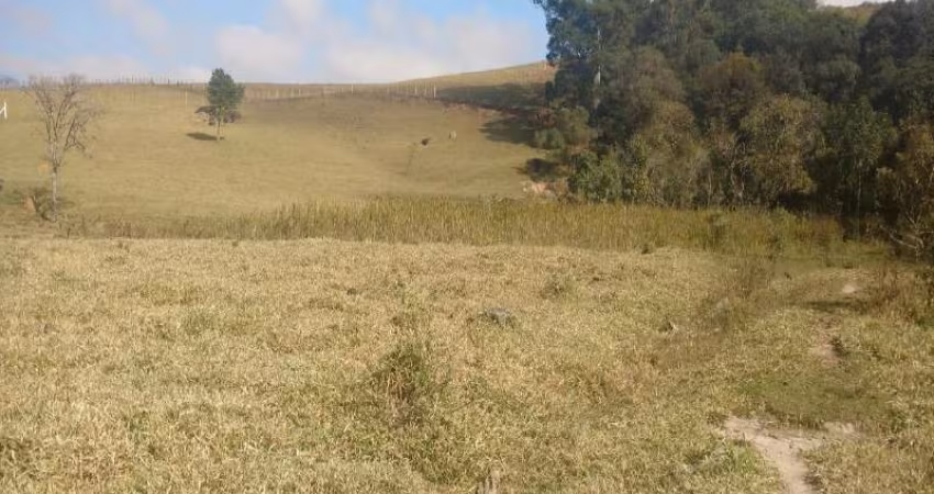 TERRENO COM 25.000 m², ÓTIMA TOPOGRAFIA EM BRAGANÇA PAULISTA - SP
