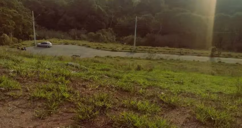 Terreno à venda em cotia-sp, bairro chácara roselândia, 125,00m² de área!