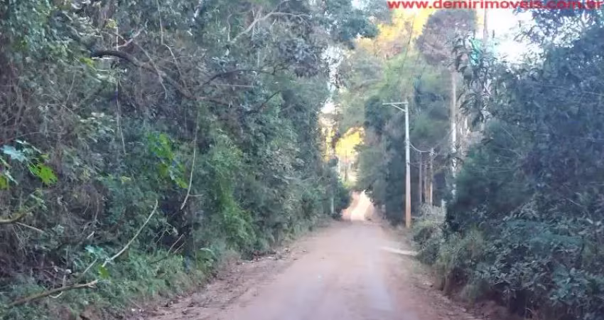 Terreno à venda em são roque-sp, bairro sorocamirim  - 5.000 m² de área. aproveite esta oportunidade!