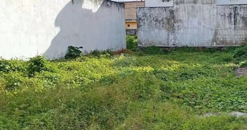 Terreno à venda no Centro, Tamandaré 